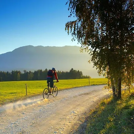 Arnold's Nest Vila Kotlje