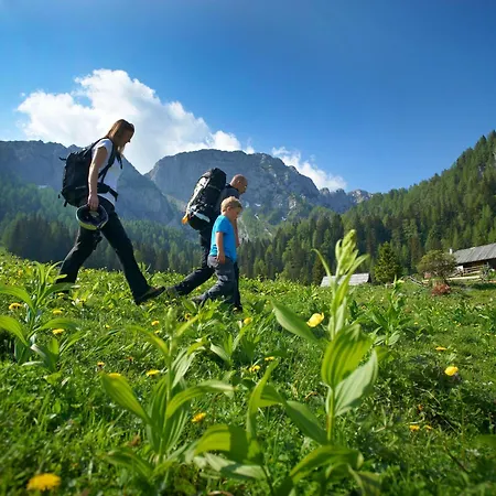 Arnlod's Nest * Kotlje