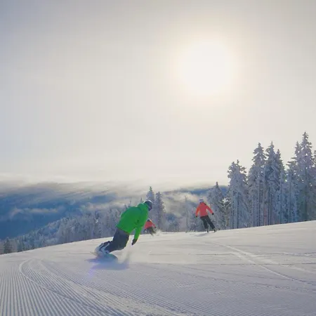 Arnold's Nest Vila *