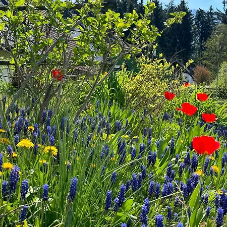 Arnold's Nest * Kotlje