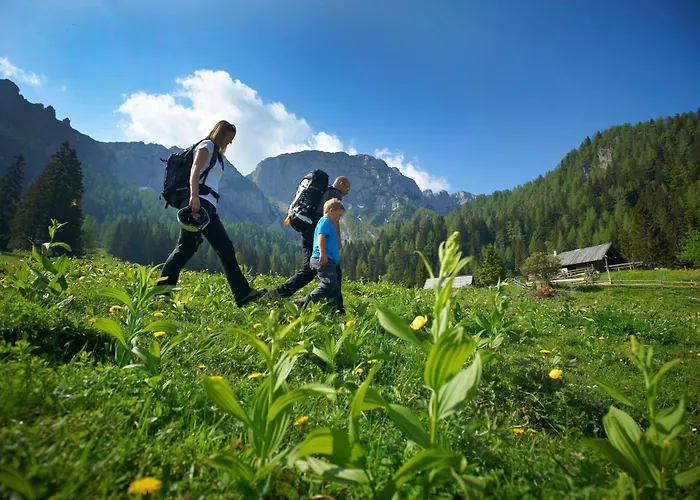 Arnold's Nest * Kotlje