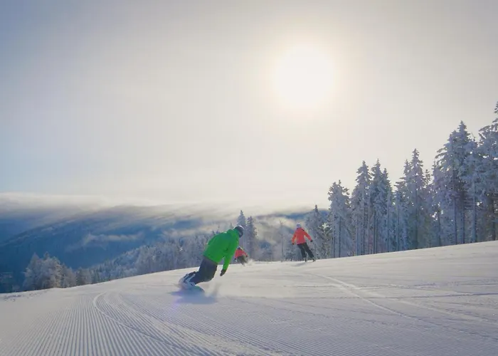 Arnold's Nest Villa *