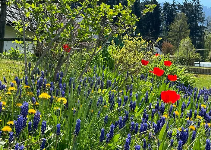 Arnold's Nest * Kotlje